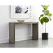 Hilbert 58 X 16 inch Grey Console Table